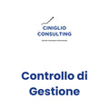 Controllo Di Gestione