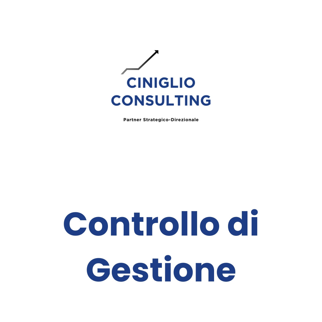 Controllo Di Gestione
