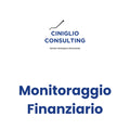 Monitoraggio Finanziario